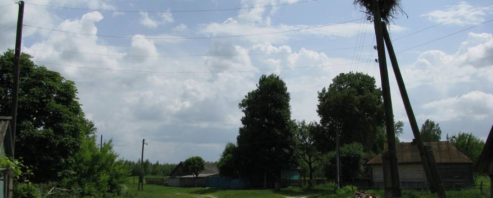 
            Фотография Гасичевки