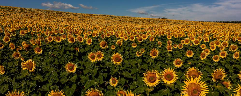 
            Фотография Касьяновки