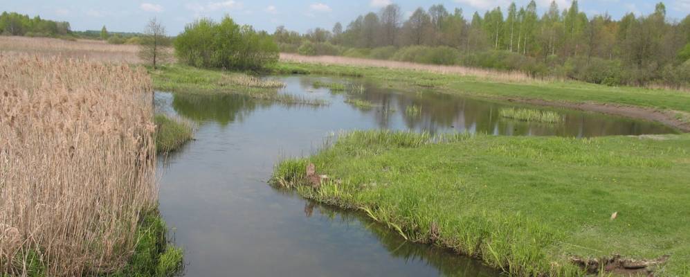 
            Фотография Старого Крупца