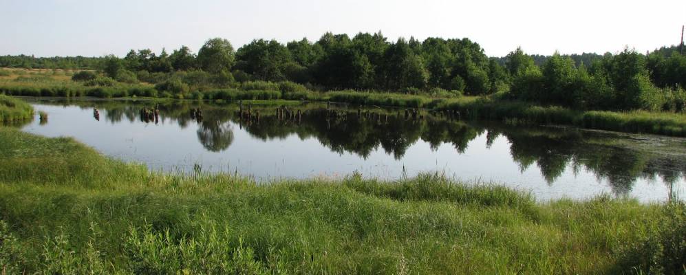 
            Фотография Пеньков