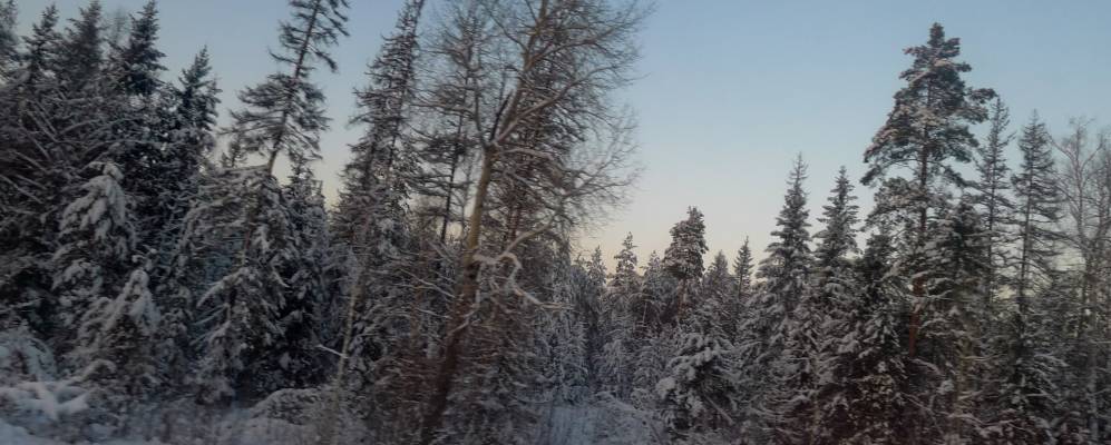 
            Фотография Сехнера