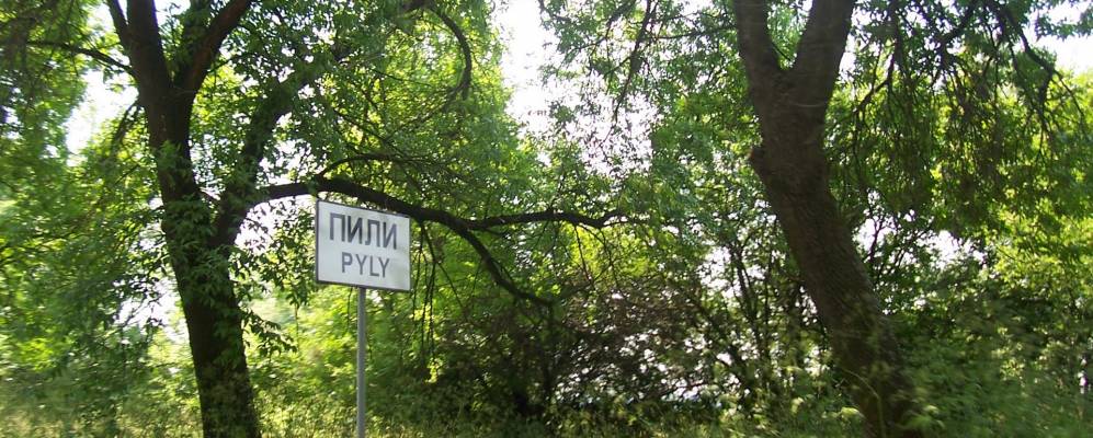 
            Фотография Пилы