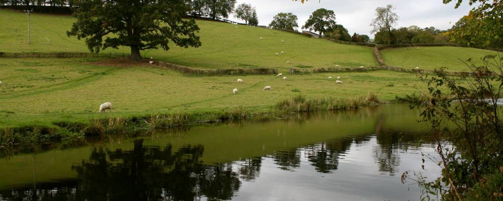 
            Фотография Уэлшпула