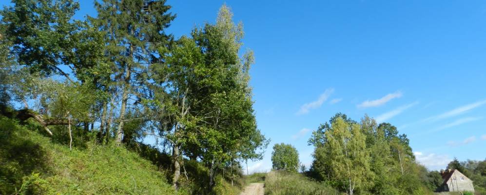 
            Фотография Калужского