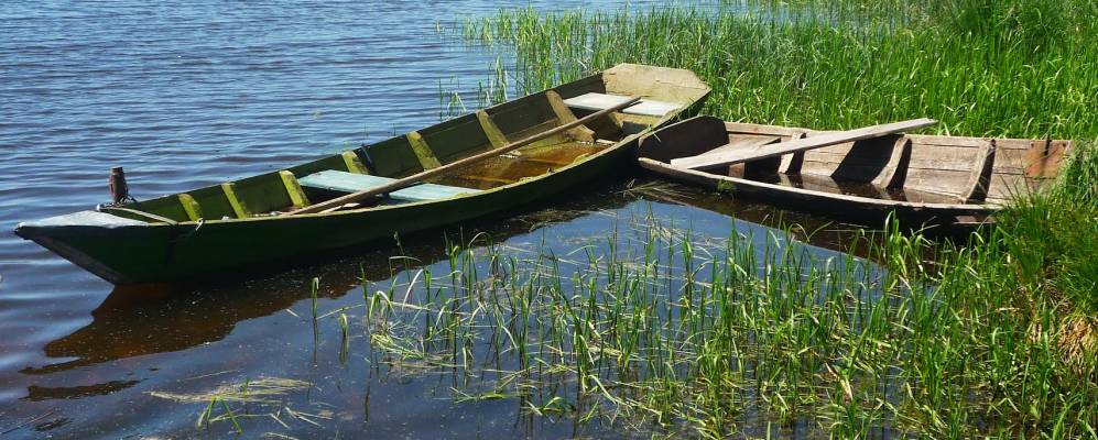 
            Фотография Фирюсихи