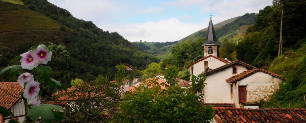 Фотография Банки