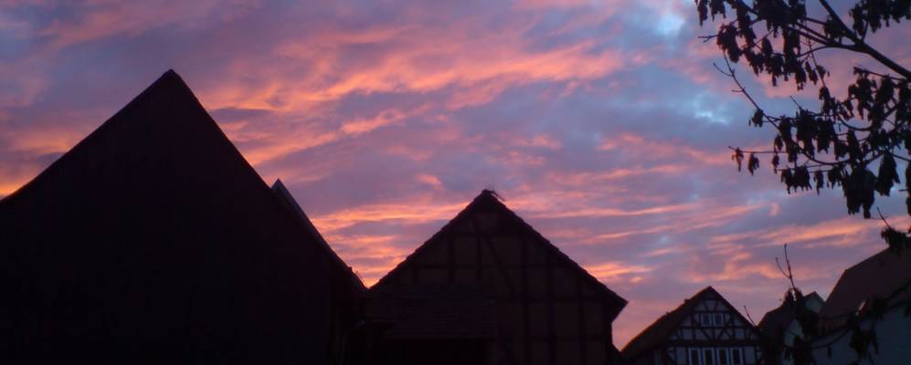 Фотография Веттер