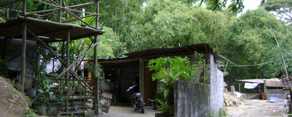 
            Фотография Гампинг Лора