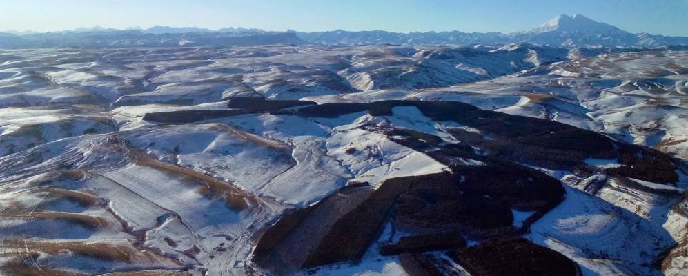 
            Фотография Левоберёзовского