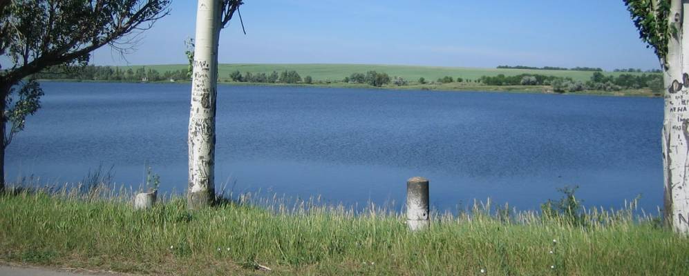 
            Фотография Воронежского