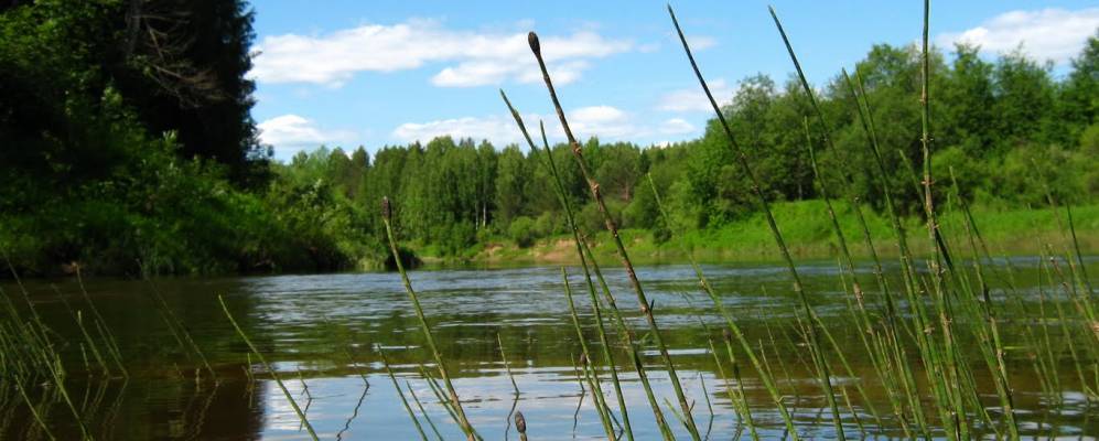 
            Фотография Ежово