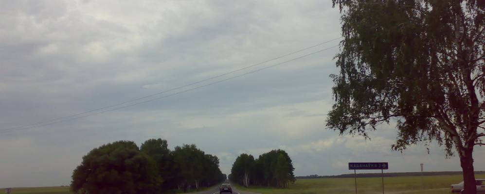 
            Фотография Вязка