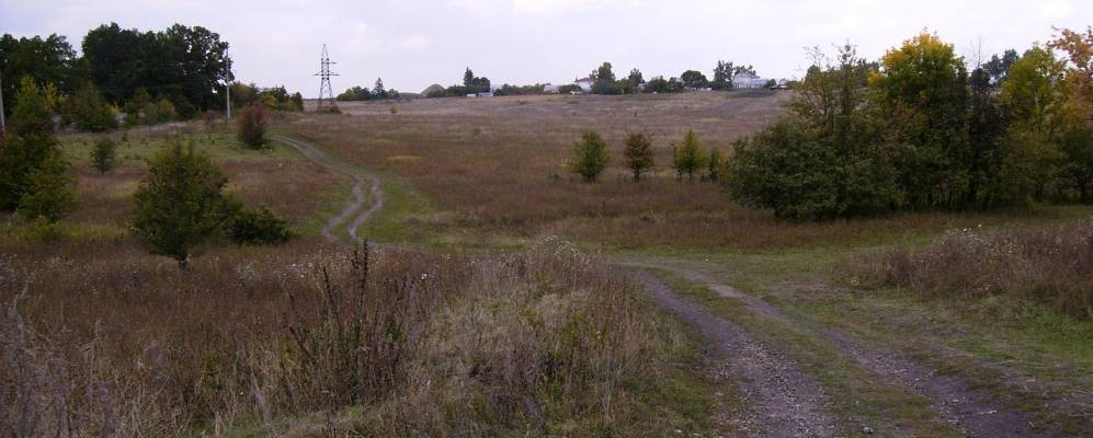 
            Фотография Кулешовки
