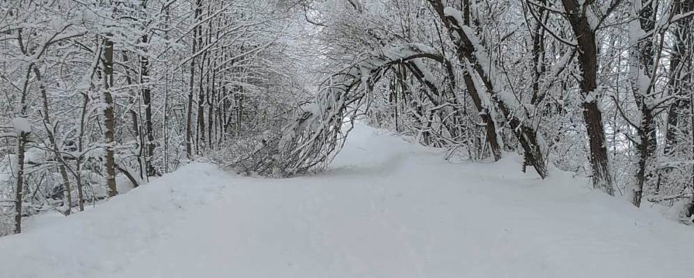 
            Фотография Барсеево