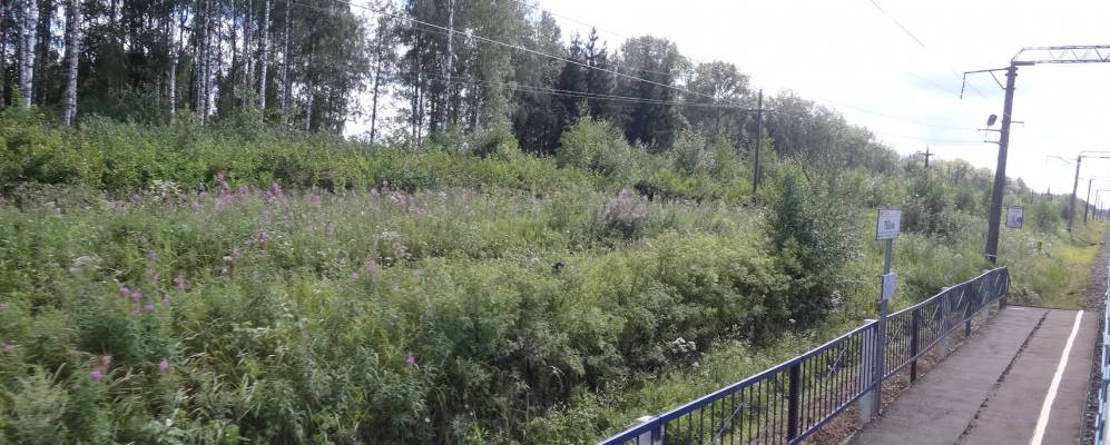 Фотография Серяков