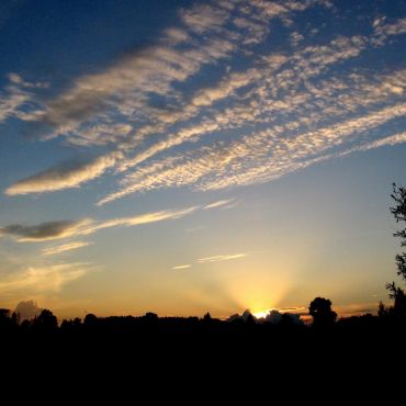 Кондрашино