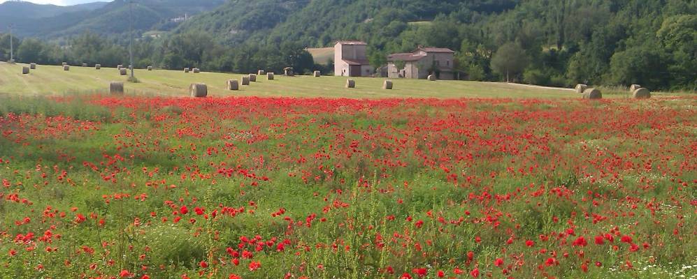 
            Фотография Меркателло-суль-Метауро