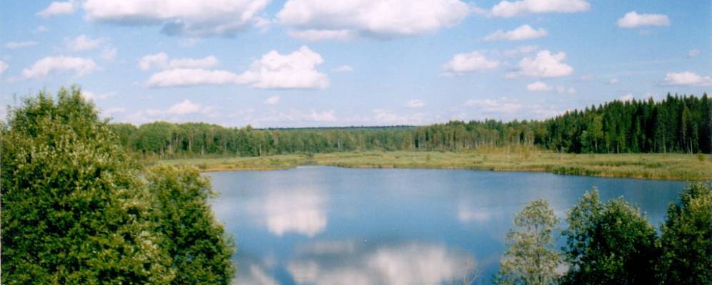 
            Фотография Сурмога