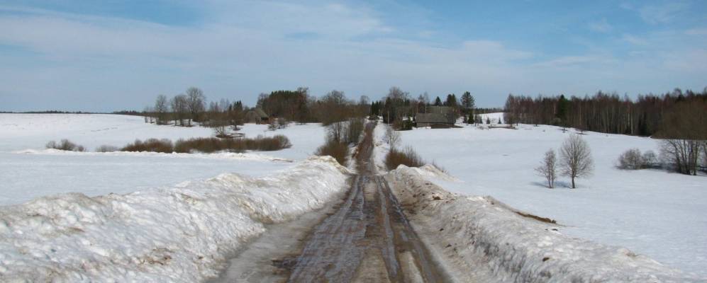 Фотография Кастолатси