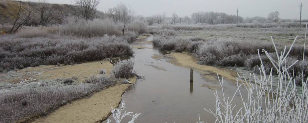 Фотография Мелавчика