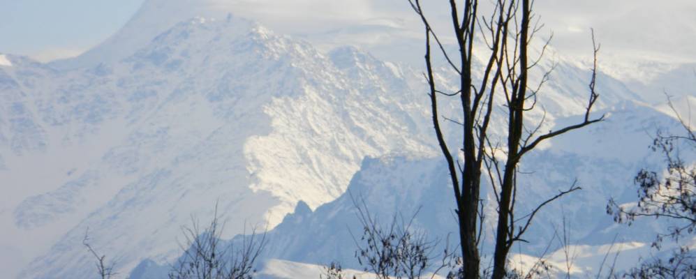 Фотография Фарна