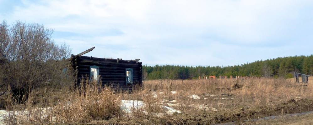 
            Фотография Новых Кривков