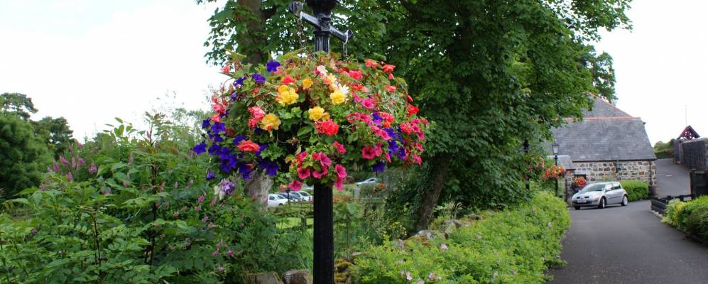 
            Фотография Брошана