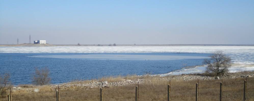 
            Фотография Виноградного