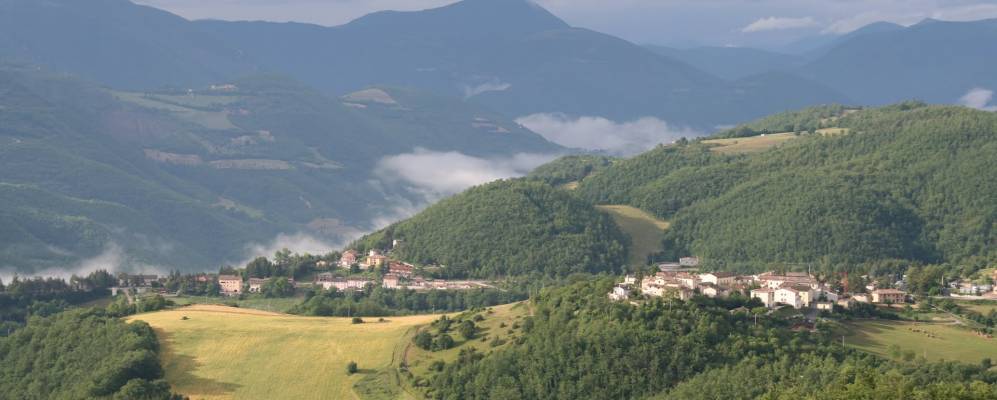 
            Фотография Селлано