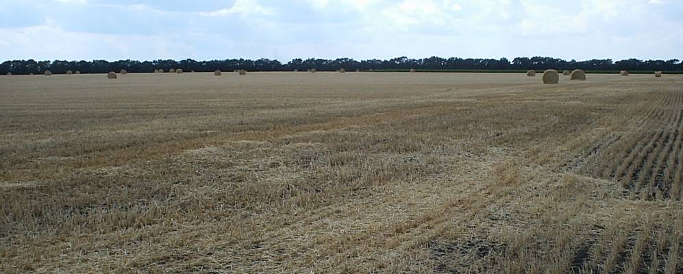 
            Фотография Степи