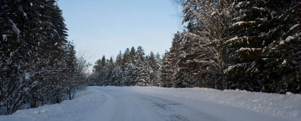 
            Фотография Жуков