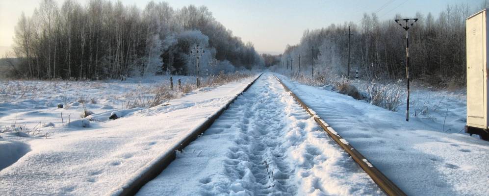
            Фотография Выковки