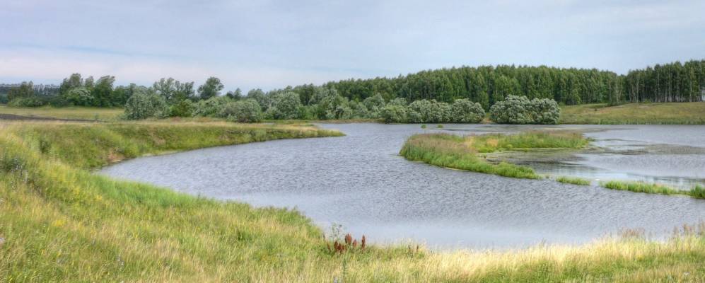 Фотография Поляков