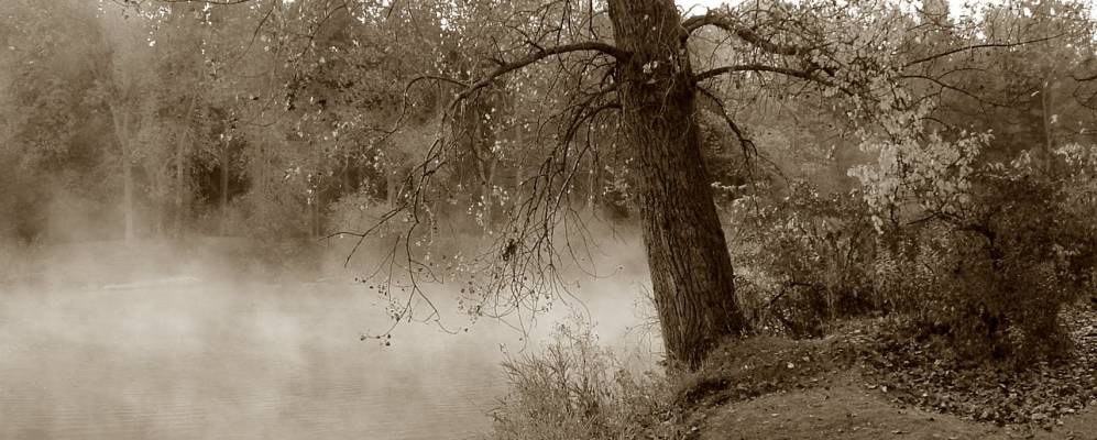 
            Фотография Уитинга