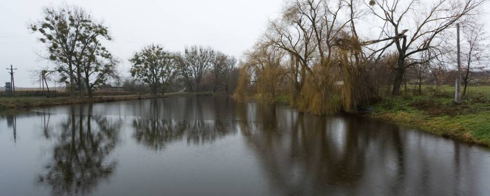 Фотография Веприна