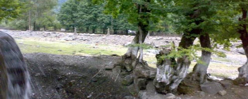 Фотография Лазы