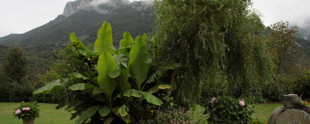 Фотография Кампо де Касо