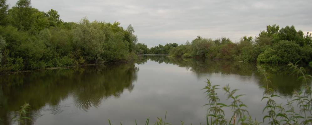 
            Фотография поселка Морозова