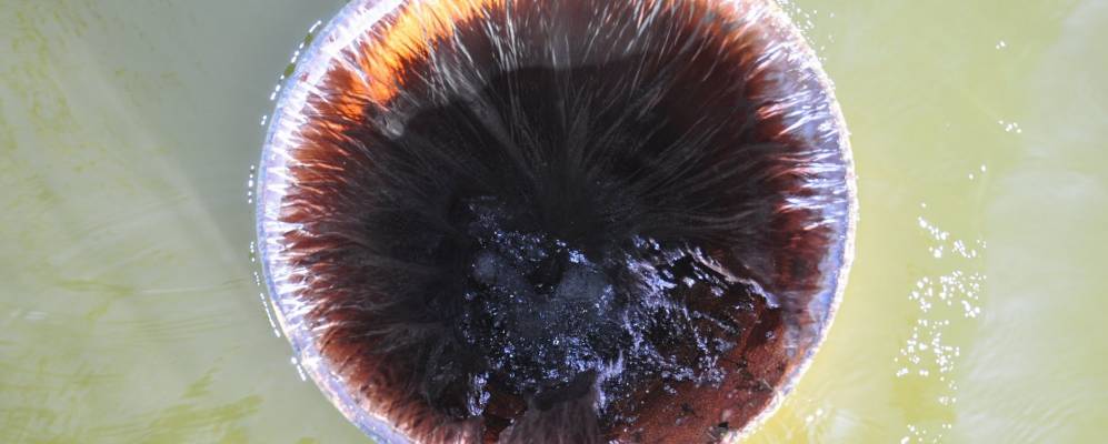 
            Фотография Даулета