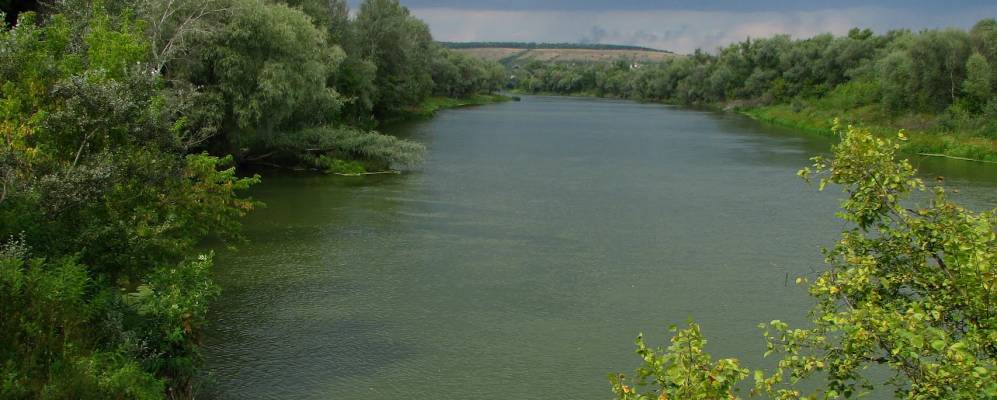 
            Фотография Паньковки