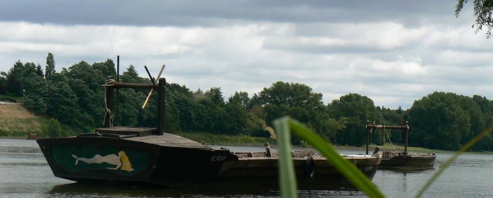 
            Фотография Жаржо