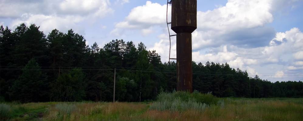 Фотография Зуб Буды