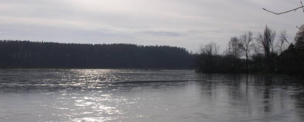 
            Фотография Воронево