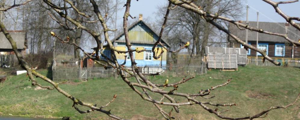 Фотография Стайска