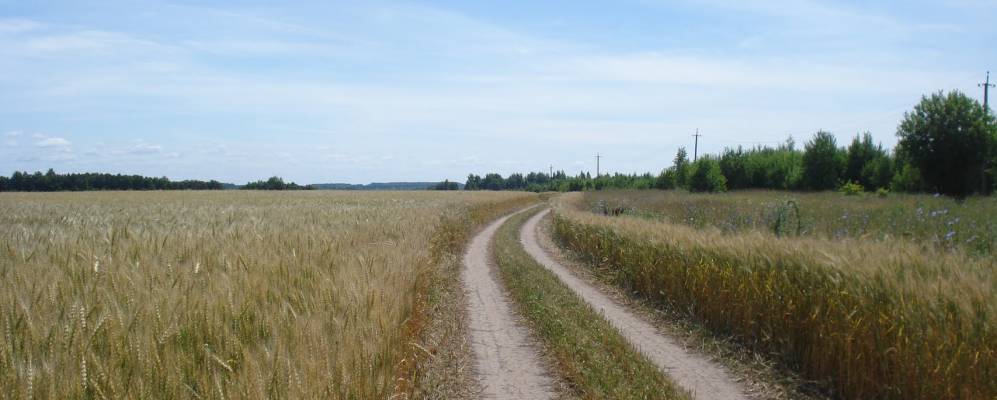 
            Фотография Бурмино