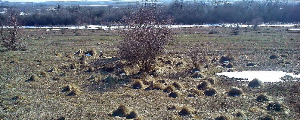 
            Фотография Маяка