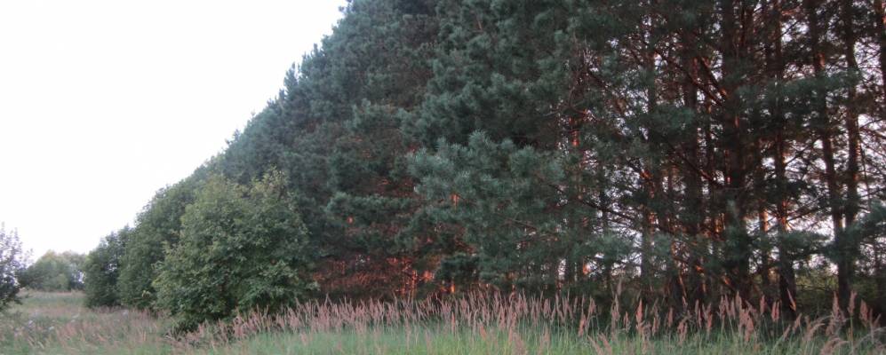 
            Фотография Моргаевки