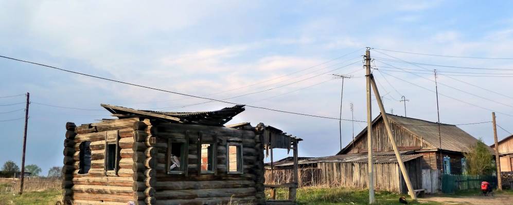 
            Фотография Травянов