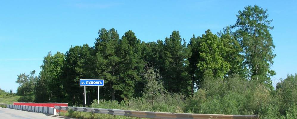 Фотография Гришки-Кубино