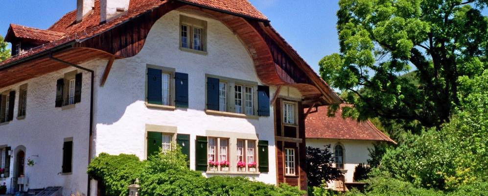 
            Фотография Зефтигена